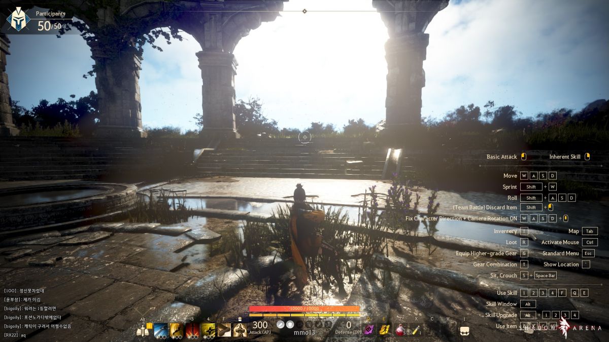 The First Impression Of Shadow Arena